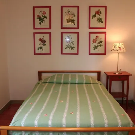 Apartamento Flower's House *